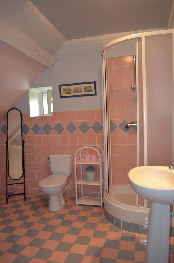 La Ferme Du Chateau Bed and Breakfast Tresnay Buitenkant foto